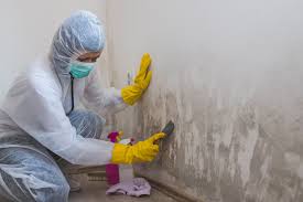 Best Industrial Mold Remediation  in East San Gabriel, CA